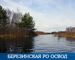 Березинская РО ОСВОД
