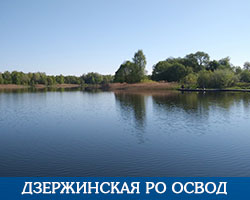 Дзержинская РО ОСВОД