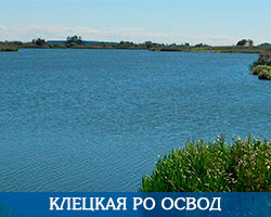 Клецкая РО ОСВОД