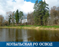 Копыльская РО ОСВОД