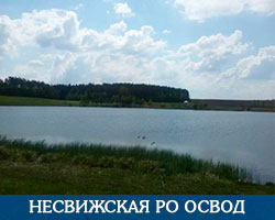Несвижская РО ОСВОД