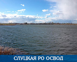 Слуцкая РО ОСВОД