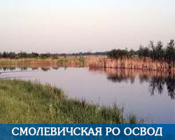 Смолевичская РО ОСВОД