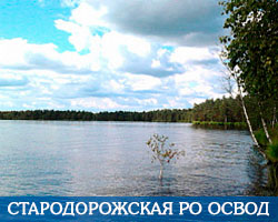Стародорожская РО ОСВОД